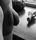 Art 1, foto 747x817, 1 reacties, 5 stemmen