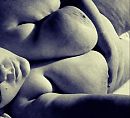 Artistiek naakt?, foto 528x480, 4 reacties, 34 stemmen