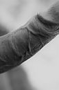 B&W, foto 2666x4000, 2 reacties, 13 stemmen