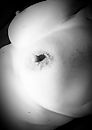 Back to more shy...., foto 1870x2636, 23 reacties, 95 stemmen