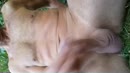 Begin de dag met........, film 00:00:00, 21 reacties, 61 stemmen