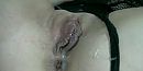 Big wet lips, foto 571x288, 25 reacties, 146 stemmen