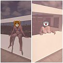Bij onze bungalow, foto 1920x1920, 2 reacties, 25 stemmen