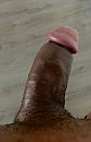 Black cock, foto 1535x2364, 2 reacties, 13 stemmen