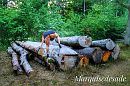 Bosje hout, foto 1280x853, 3 reacties, 34 stemmen
