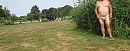 Bosweg, foto 2288x913, 5 reacties, 6 stemmen