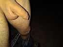 Buiten, foto 4000x3000, 2 reacties, 7 stemmen