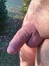 Close-up, getrimd en geschoren, foto 2976x3968, 9 reacties, 31 stemmen
