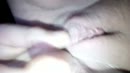 Close up, film 00:00:22, 10 reacties, 63 stemmen