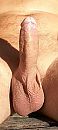 Close up, foto 407x899, 4 reacties, 23 stemmen