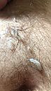 Cum and get it, foto 2160x3840, 0 reacties, 5 stemmen