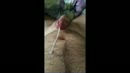Cumshot zonder handen - deel 2, film 00:00:00, 2 reacties, 10 stemmen