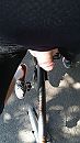 Cycling with cock out, foto 2250x4000, 1 reacties, 6 stemmen