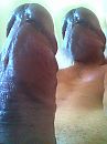 DICKHEAD, foto 1140x1520, 0 reacties, 1 stemmen