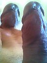 DJ Dickhead, foto 1140x1520, 0 reacties, 0 stemmen