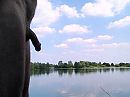 Daar bij de waterkant..., foto 480x360, 1 reacties, 0 stemmen