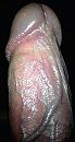 Da's dus  m'n P¡K, foto 1190x2209, 0 reacties, 2 stemmen