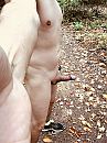 De natuur in, foto 960x1280, 4 reacties, 27 stemmen De natuur in, foto 960x1280, 4 reacties, 27 stemmen