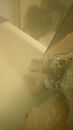 Dick n Soapy, foto 2256x4000, 1 reacties, 1 stemmen