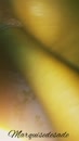 Zo diep word ik gefist, film 00:00:00, 19 reacties, 107 stemmen
