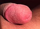 Dikke eikel, foto 3264x2448, 0 reacties, 2 stemmen