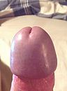 Dikke eikel, foto 779x1045, 1 reacties, 1 stemmen