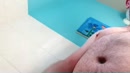Dildo of echt, film 00:00:00, 6 reacties, 20 stemmen