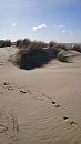 Duinen Rockanje, foto 2160x3840, 2 reacties, 9 stemmen