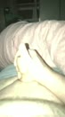 Een goed begin, film 00:00:12, 8 reacties, 17 stemmen