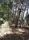 Een trapje in het bos, foto 2448x3264, 4 reacties, 13 stemmen