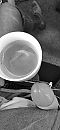 Eerst koffie? Of..., foto 444x960, 0 reacties, 0 stemmen