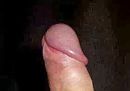 Eikel, foto 280x196, 4 reacties, 7 stemmen