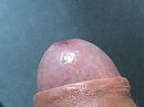 Eikel, foto 3264x2448, 2 reacties, 7 stemmen