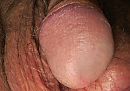 Eikel, foto 1459x1028, 11 reacties, 18 stemmen