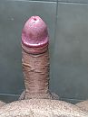 En nog geiler, foto 3000x4000, 29 reacties, 63 stemmen