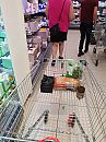 Even bij de Lidl...., foto 3000x4000, 2 reacties, 24 stemmen