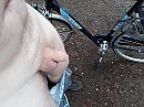 Even de broek omlaag, foto 4000x3000, 10 reacties, 63 stemmen
