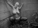 FF kinky doen, foto 2046x1534, 27 reacties, 265 stemmen