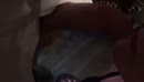 Ff tussen neus en lippen door:, film 00:00:00, 18 reacties, 156 stemmen