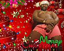 Fijne Kerst allemaal!, foto 1146x913, 2 reacties, 6 stemmen
