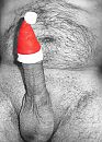 Fijne feestdagen, foto 1316x1824, 3 reacties, 3 stemmen