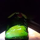 Flesje 3, foto 2976x2976, 2 reacties, 32 stemmen