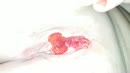 Fruit 2, film 00:00:00, 4 reacties, 35 stemmen