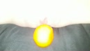 Fruit 2, film 00:00:19, 7 reacties, 54 stemmen