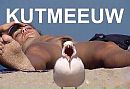 GVD......, foto 620x427, 3 reacties, 14 stemmen