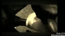 Geboren om te dienen....., film 00:00:00, 5 reacties, 86 stemmen