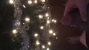 Geil rond de kerstboom, film 00:00:00, 0 reacties, 4 stemmen