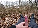 Geil in het bos vandaag!, foto 4000x3000, 0 reacties, 7 stemmen