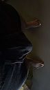 Geil, foto 720x1280, 1 reacties, 7 stemmen