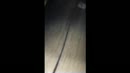 Geile Milf, film 00:00:00, 10 reacties, 75 stemmen